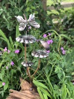 n. Mouse and Butterfly.jpg